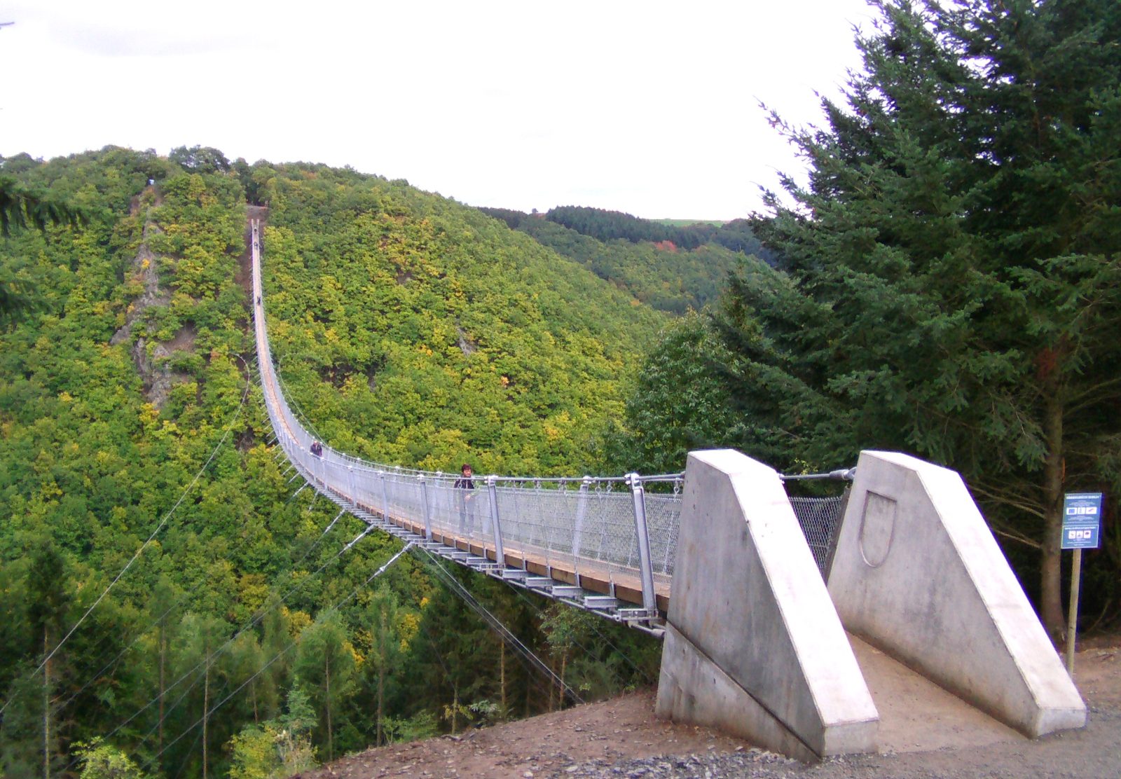 Hängebrücke über ein bewaldetes Tal bei Mörsdorf.